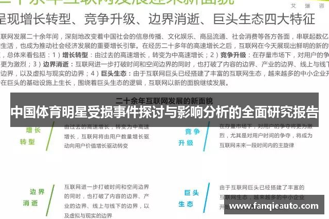 中国体育明星受损事件探讨与影响分析的全面研究报告